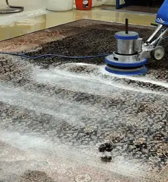 Professional rug cleaning with a rotary floor machine and shampoo foam, deep-cleaning an area rug Arvada, CO.